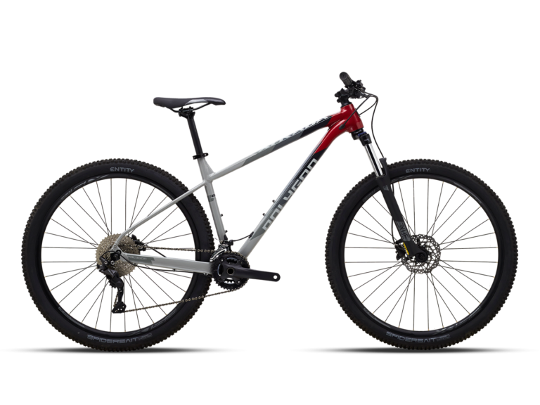 XTRADA 5