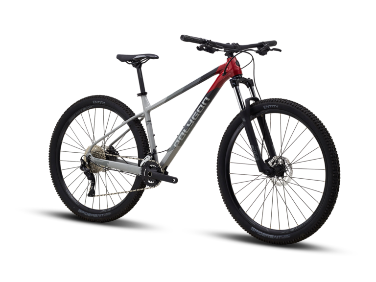 XTRADA 5 - Image 4