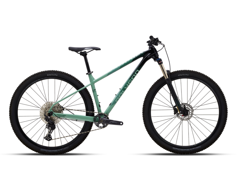 XTRADA 6