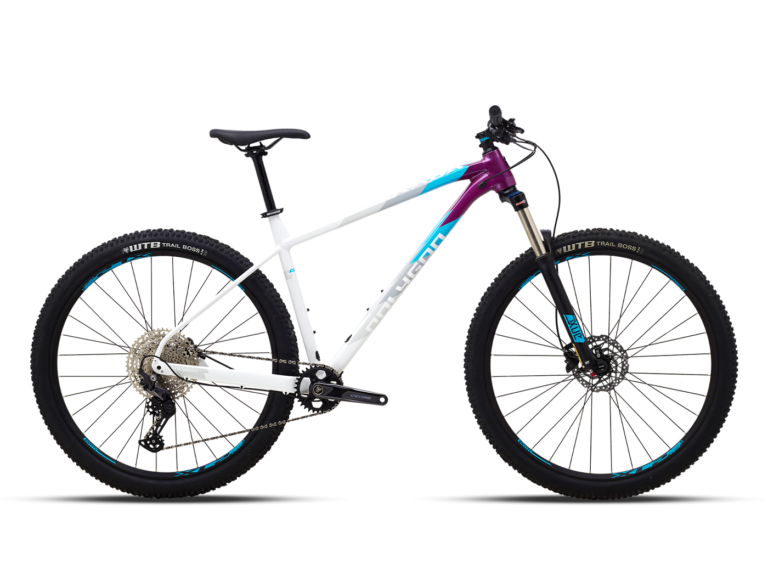 XTRADA 7